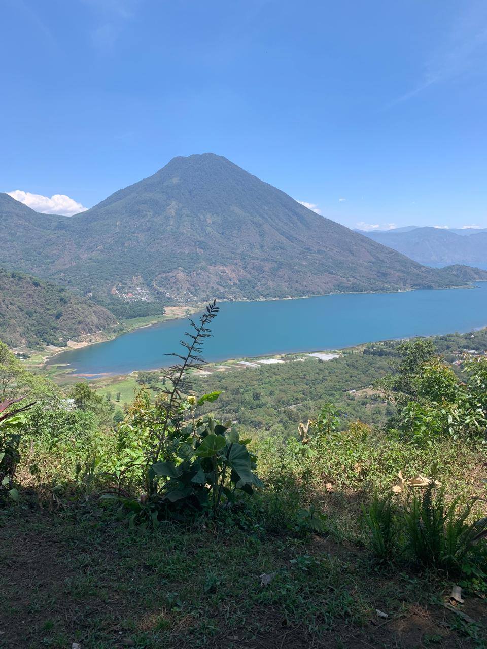 Mirador Reserva Tepepul